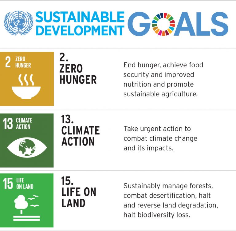 SDG icons
