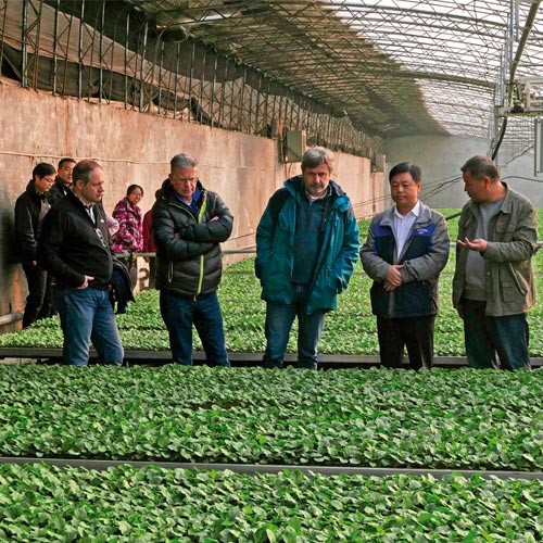 Asian farmers