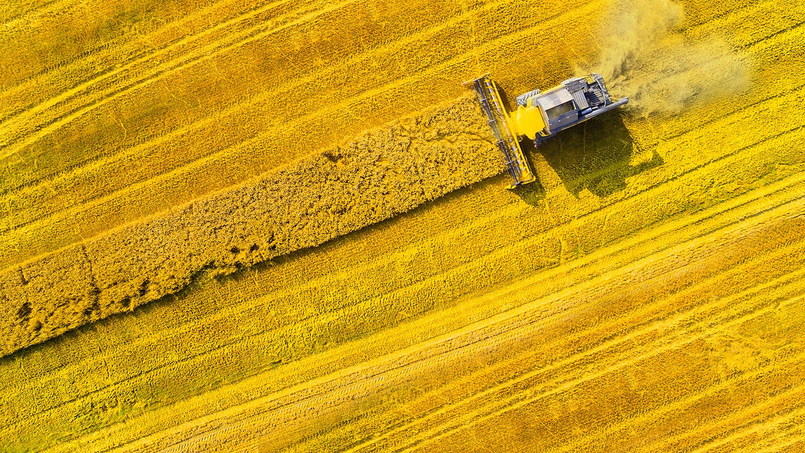 Farming