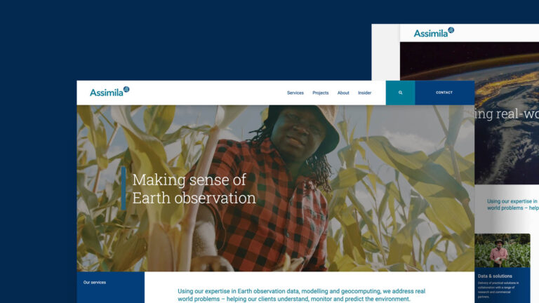 Consultancy web design