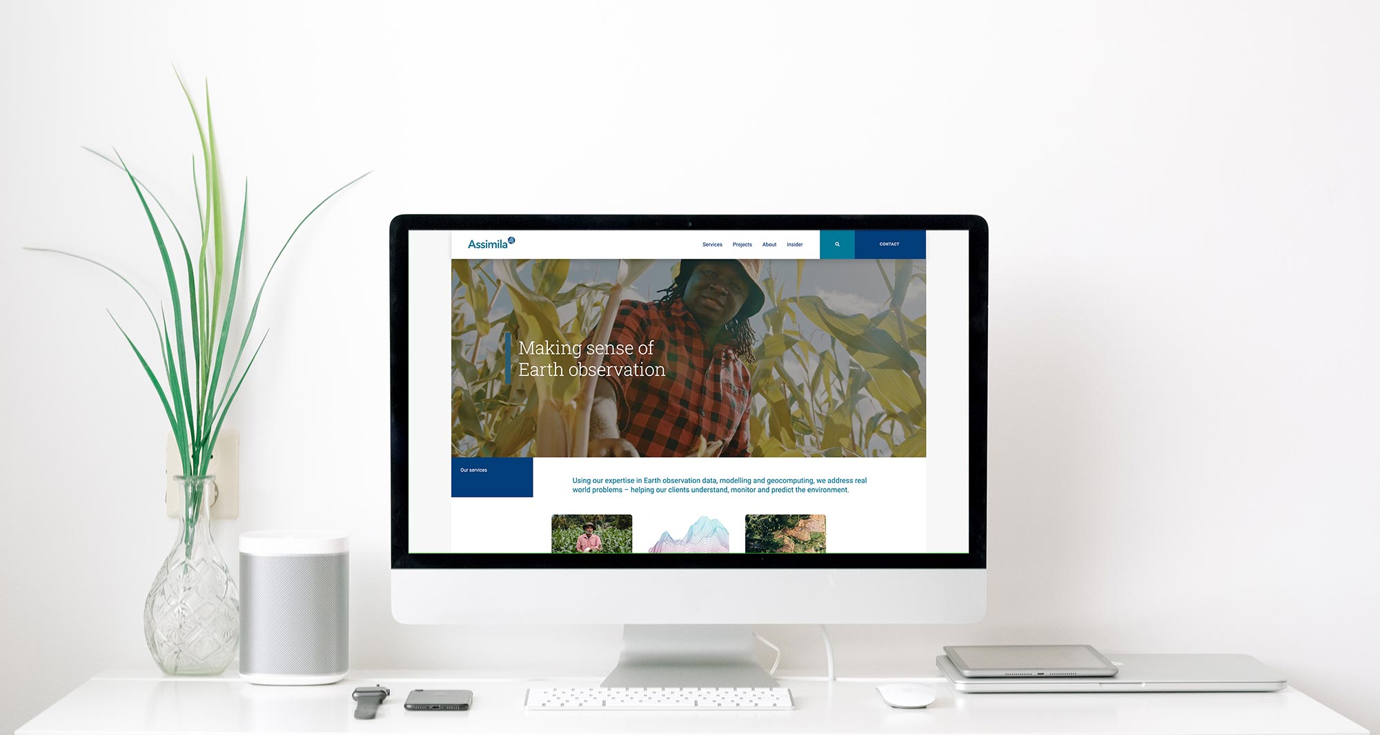 Website and branding for consultancy