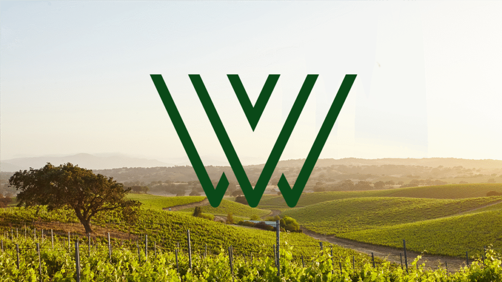 Wine Devliery Service Design, branding and website build