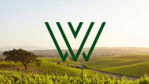 Wine Devliery Service Design, branding and website build