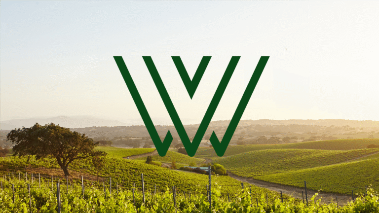 Wine Devliery Service Design, branding and website build