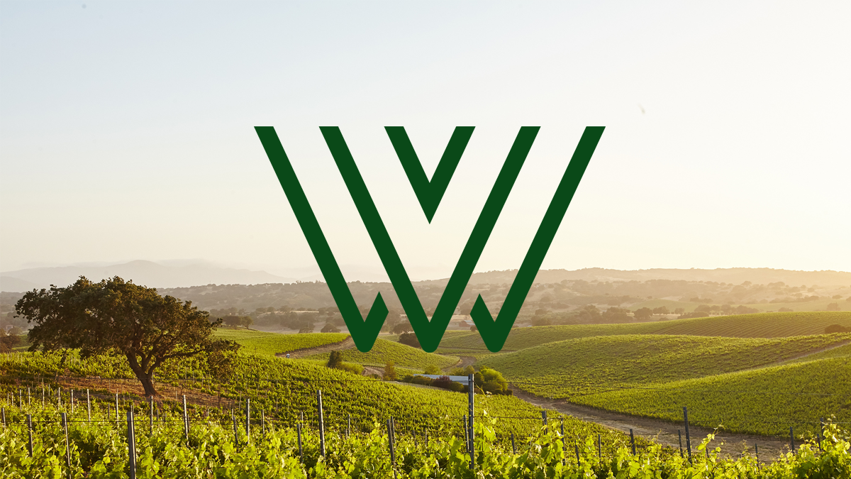 Wine Devliery Service Design, branding and website build