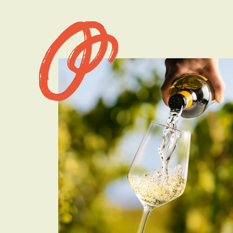 Wine Project Styling Example
