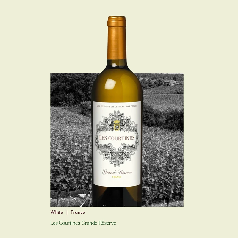 Wine Branding Project White Wine